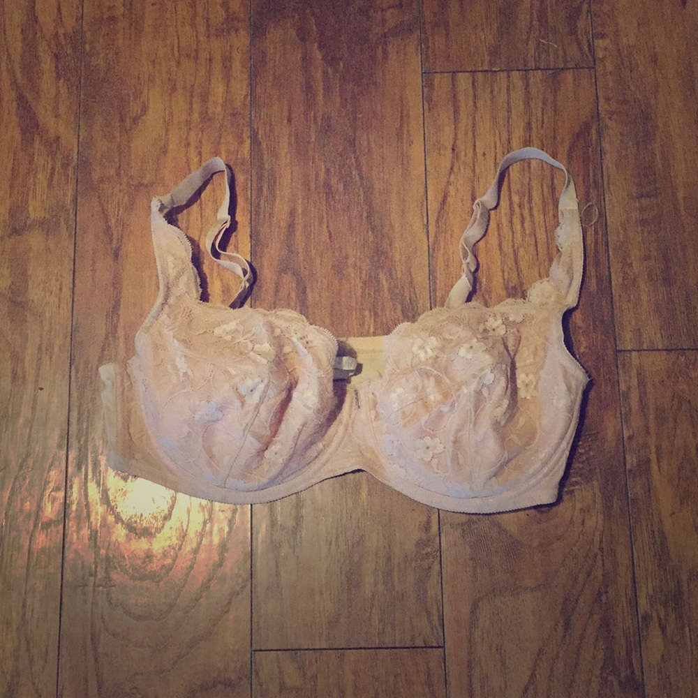 Beautiful Fredericks of Hollywood bra.